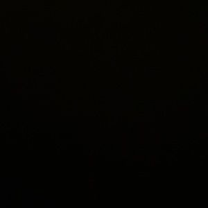 Meet your Posher, Charlee